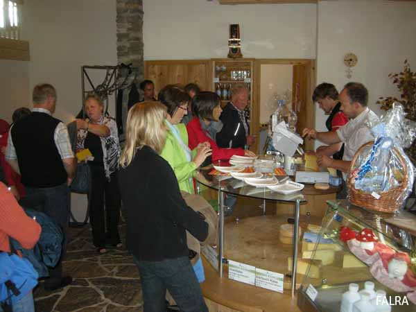 Bild 262