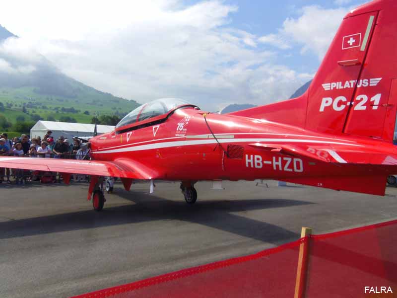 IMGP8882